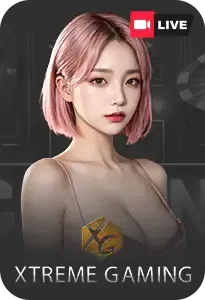 Casino 12 result